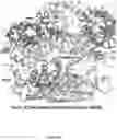 Fig. 08 - CRISPR-CAS SYSTEMS, CRYSTAL STRUCTURE AND USES THEREOF