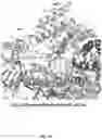 Fig. 09 - CRISPR-CAS SYSTEMS, CRYSTAL STRUCTURE AND USES THEREOF