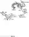 Fig. 12 - CRISPR-CAS SYSTEMS, CRYSTAL STRUCTURE AND USES THEREOF
