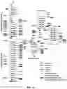Fig. 13 - CRISPR-CAS SYSTEMS, CRYSTAL STRUCTURE AND USES THEREOF