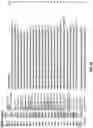 Fig. 17 - CRISPR-CAS SYSTEMS, CRYSTAL STRUCTURE AND USES THEREOF