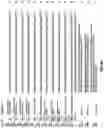 Fig. 18 - CRISPR-CAS SYSTEMS, CRYSTAL STRUCTURE AND USES THEREOF