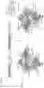 Fig. 22 - CRISPR-CAS SYSTEMS, CRYSTAL STRUCTURE AND USES THEREOF