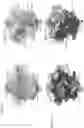 Fig. 23 - CRISPR-CAS SYSTEMS, CRYSTAL STRUCTURE AND USES THEREOF