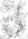 Fig. 33 - CRISPR-CAS SYSTEMS, CRYSTAL STRUCTURE AND USES THEREOF