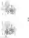 Fig. 35 - CRISPR-CAS SYSTEMS, CRYSTAL STRUCTURE AND USES THEREOF