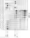 Fig. 06 - CRISPR-associated (Cas) protein