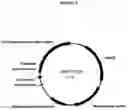 Fig. 07 - COMPOSITIONS AND METHODS COMPRISING PROTEASE VARIANTS