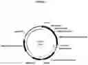 Fig. 08 - COMPOSITIONS AND METHODS COMPRISING PROTEASE VARIANTS