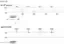 Fig. 02 - METHOD FOR PRODUCING PSICOSE BY USING PSICOSE EPIMERASE PRODUCING MICROORGANISM
