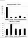 Fig. 04 - METHOD FOR PRODUCING PSICOSE BY USING PSICOSE EPIMERASE PRODUCING MICROORGANISM