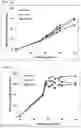 Fig. 11 - METHOD FOR PRODUCING PSICOSE BY USING PSICOSE EPIMERASE PRODUCING MICROORGANISM