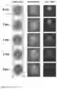 Fig. 05 - Methods and systems for screening using microcapillary arrays