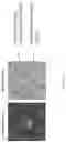 Fig. 16 - Methods and systems for screening using microcapillary arrays