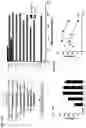 Fig. 12 - COMPOSITIONS AND METHODS FOR ENHANCING HOMOLOGOUS RECOMBINATION