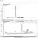 Fig. 04 - Processes for preparing phosphorodiamidate morpholino oligomers