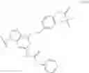 Fig. 303 - Processes for preparing phosphorodiamidate morpholino oligomers