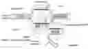 Fig. 01 - Materials and methods for treatment of primary hyperoxaluria type 1 (PH1) and other alanine-glyoxylate aminotransferase (AGXT) gene related conditions or disorders