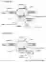 Fig. 02 - Materials and methods for treatment of primary hyperoxaluria type 1 (PH1) and other alanine-glyoxylate aminotransferase (AGXT) gene related conditions or disorders
