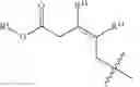 Fig. 121 - OLIGONUCLEOTIDE COMPOSITIONS AND METHODS THEREOF