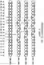 Fig. 17 - OLIGONUCLEOTIDE COMPOSITIONS AND METHODS THEREOF