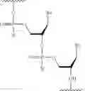 Fig. 209 - OLIGONUCLEOTIDE COMPOSITIONS AND METHODS THEREOF