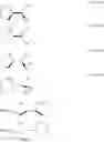 Fig. 239 - OLIGONUCLEOTIDE COMPOSITIONS AND METHODS THEREOF