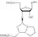 Fig. 247 - OLIGONUCLEOTIDE COMPOSITIONS AND METHODS THEREOF
