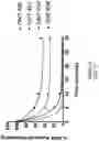Fig. 47 - OLIGONUCLEOTIDE COMPOSITIONS AND METHODS THEREOF