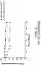 Fig. 63 - OLIGONUCLEOTIDE COMPOSITIONS AND METHODS THEREOF