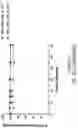 Fig. 64 - OLIGONUCLEOTIDE COMPOSITIONS AND METHODS THEREOF