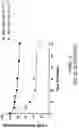 Fig. 66 - OLIGONUCLEOTIDE COMPOSITIONS AND METHODS THEREOF