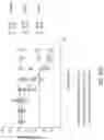 Fig. 94 - OLIGONUCLEOTIDE COMPOSITIONS AND METHODS THEREOF
