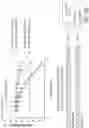 Fig. 95 - OLIGONUCLEOTIDE COMPOSITIONS AND METHODS THEREOF