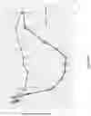 Fig. 07 - Serpina1 iRNA compositions and methods of use thereof