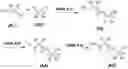 Fig. 01 - Cationic lipid