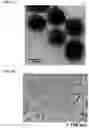Fig. 02 - Twist signaling inhibitor compositions and methods of using the same