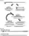 Fig. 03 - Twist signaling inhibitor compositions and methods of using the same