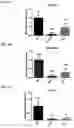 Fig. 07 - Twist signaling inhibitor compositions and methods of using the same