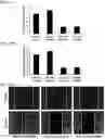 Fig. 15 - Twist signaling inhibitor compositions and methods of using the same
