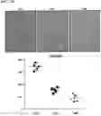 Fig. 20 - Twist signaling inhibitor compositions and methods of using the same