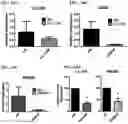 Fig. 40 - Twist signaling inhibitor compositions and methods of using the same