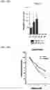 Fig. 43 - Twist signaling inhibitor compositions and methods of using the same