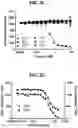Fig. 05 - High-Throughput Aptamer Screening Assay
