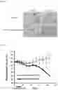 Fig. 08 - Methods for Treating Obesity of a Subject Suffering from Obesity