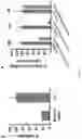 Fig. 15 - Compositions and methods for loading extracellular vesicles with chemical and biological agents/molecules