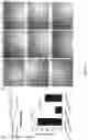 Fig. 16 - Compositions and methods for loading extracellular vesicles with chemical and biological agents/molecules