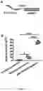 Fig. 17 - Compositions and methods for loading extracellular vesicles with chemical and biological agents/molecules