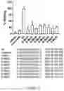 Fig. 29 - Compositions and methods for loading extracellular vesicles with chemical and biological agents/molecules