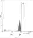 Fig. 15 - SIMULTANEOUS GENE EDITING AND HAPLOID INDUCTION